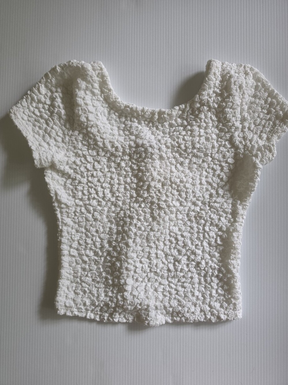Petal & Pup White Textured Short Sleeve Crop Top